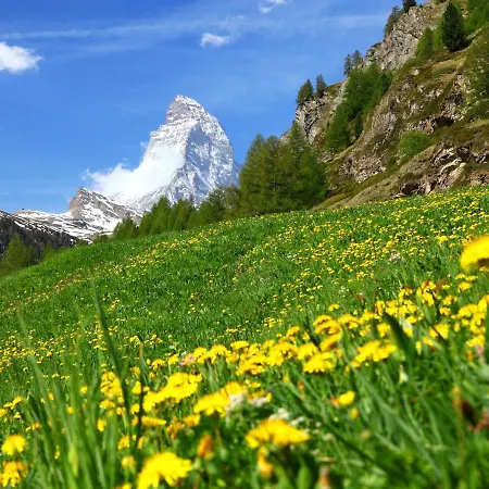 Sonnhalde B Zermatt